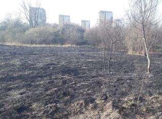 Administrator rezerwatu Jeziorko Czerniakowskie reaguje na pożary: będzie strażnik i szlabany